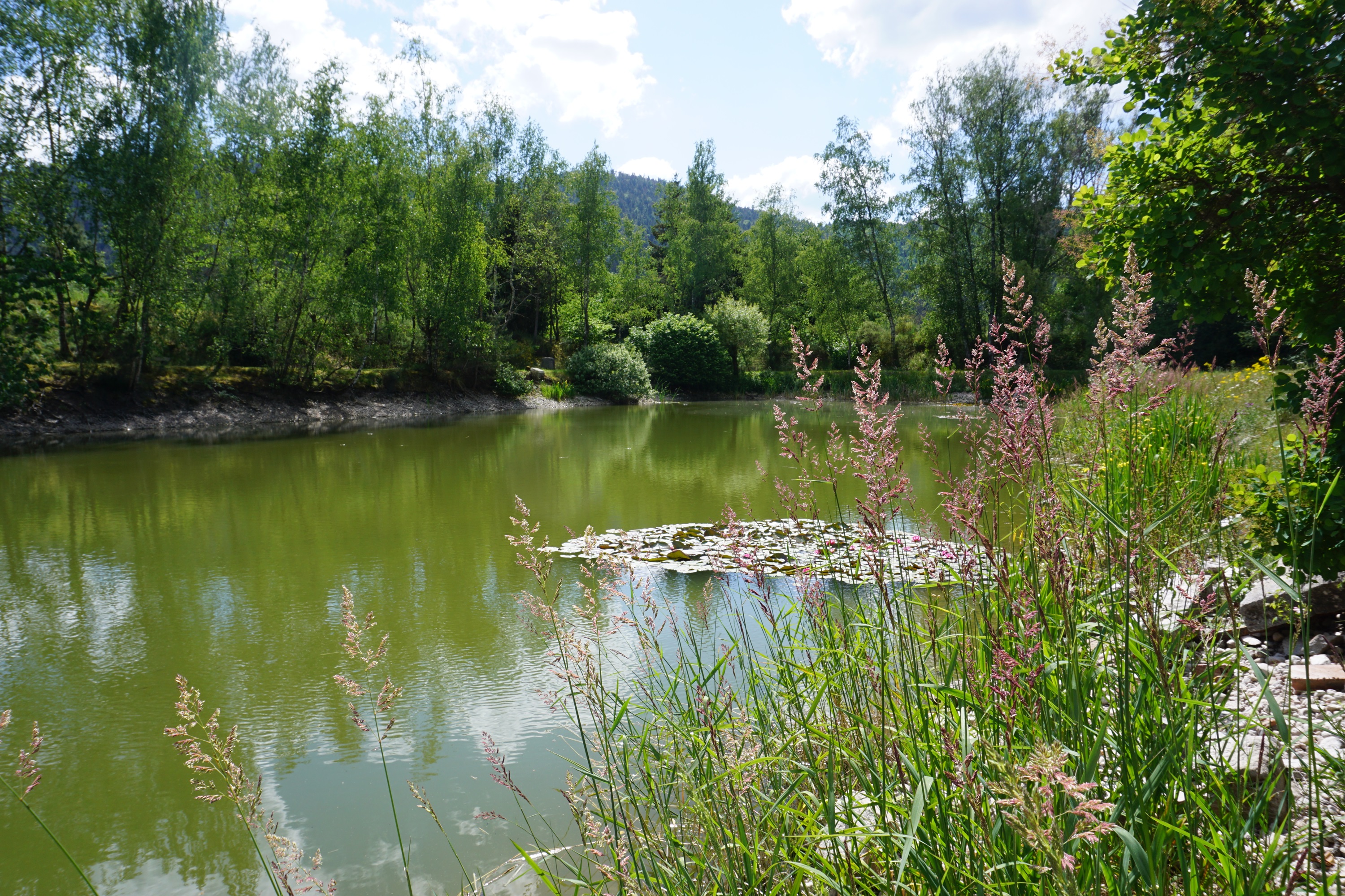 Vue extérieure principale